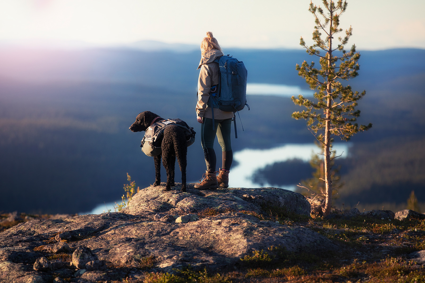 Best Tips For Backpacking With A Dog Non Stop Dogwear